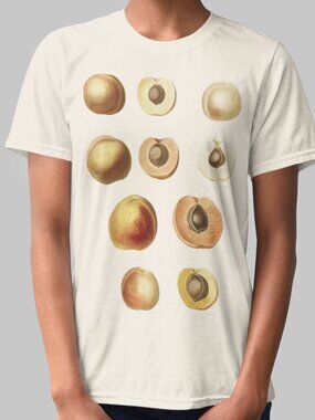 Apricot Vintage Botanical Print Short Sleeve Graphic Tee T-shirt S-XXL